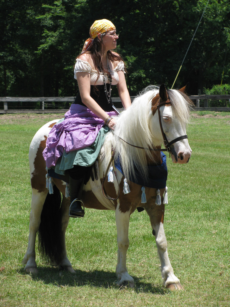 Gypsy_Vanner_004.JPG