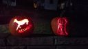Potter_Pumpkins_2018_003.jpg